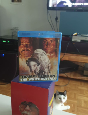 white buffalo.jpg