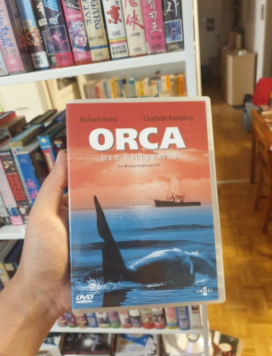 orca der killerwal.jpg