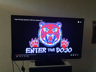 enter the dojo.jpg