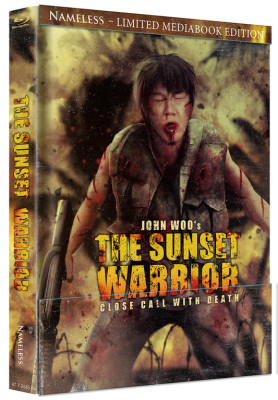 The_Sunset_Warrior_Cover_BCARD_964cb19b-f3e6-43b8-9be6-632002a50585.jpg