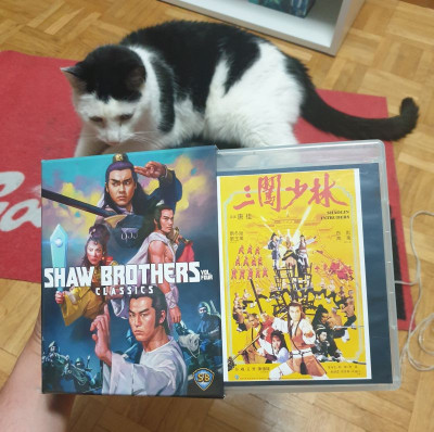 shaolin intruders.jpg