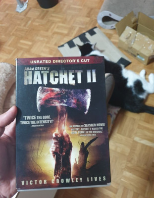 hatchet 2.jpg