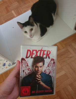 dexter season 6.jpg
