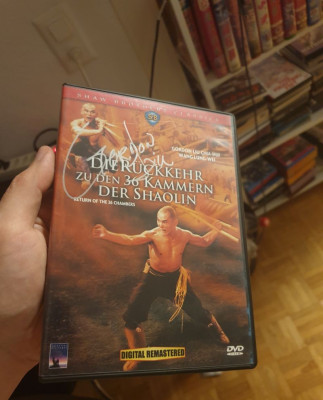 return to the 36th chamber 2.jpg