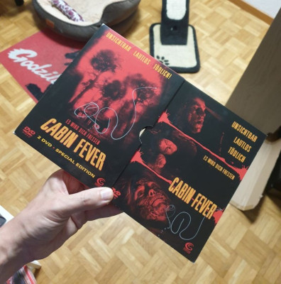 cabin fever.jpg