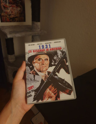1931 es geschah in amerika.jpg