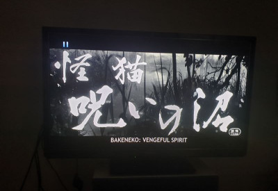 BAKENEKO A VENGEFUL SPIRIT.jpg
